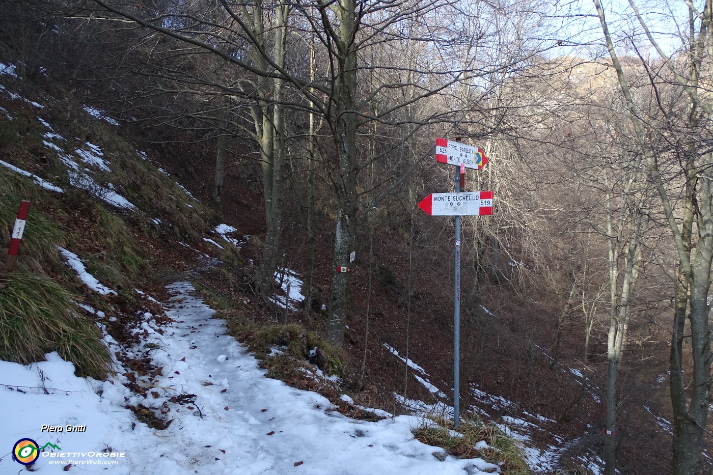 31 Proseguo a dx sul 519 per il Suchello (a dx il 525 per Forc. Barbata ed Alben).JPG